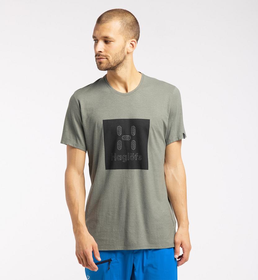 Haglöfs Mens Träd T-Shirt Brown New Zealand 54987OGDX